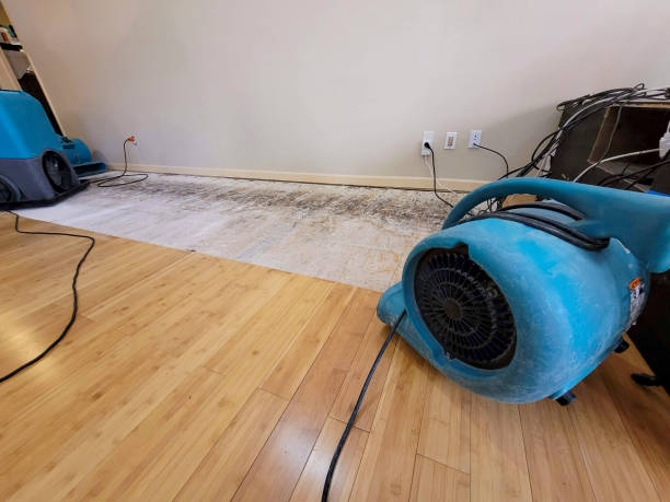 Professional Structural Drying technician working in Markham, TX